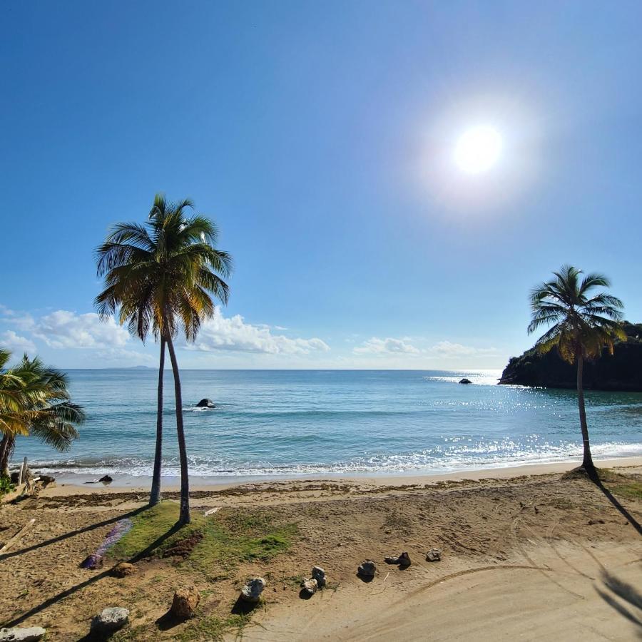 Parador Palmas De Lucia Yabucoa Extérieur photo